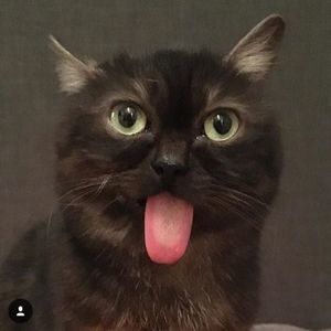 Meet your Posher, Yekaterina